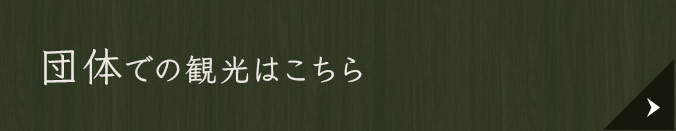 団体での観光はこちら